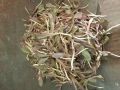 社區(qū)新鮮蔬菜團(tuán)購(gòu)指南 便捷地址、聯(lián)系方式和營(yíng)業(yè)時(shí)間一覽